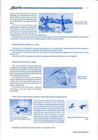 sharia nº 22 año 2000