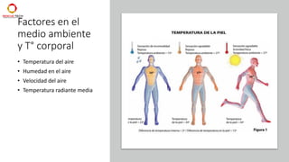 Factores en el
medio ambiente
y T° corporal
• Temperatura del aire
• Humedad en el aire
• Velocidad del aire
• Temperatura radiante media
 