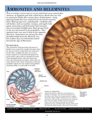 2001 - Encyclopedia of Dinosaurs and Prehistoric Life (ENG).pdf