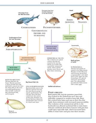 2001 - Encyclopedia of Dinosaurs and Prehistoric Life (ENG).pdf