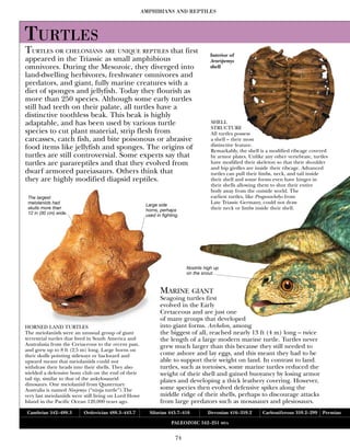 2001 - Encyclopedia of Dinosaurs and Prehistoric Life (ENG).pdf