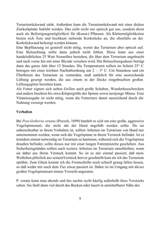 Terrarienrückwand steht. Außerdem kann die Terrarienrückwand mit einer dicken
Zierkorkplatte beklebt werden. Das sieht nicht nur optisch gut aus, sondern dient
auch als Befestigungsmöglichkeit für (Kunst-) Pflanzen. Als Klettermöglichkeiten
bieten sich Äste und hochkant stehende Korkstücke an, die ebenfalls an der
Korkrückwand befestigt werden können.
Eine Bepflanzung ist generell nicht nötig, wertet das Terrarium aber optisch auf.
Eine Beleuchtung sollte dann jedoch nicht fehlen. Diese kann aus einer
handelsüblichen 25 Watt Neonröhre bestehen, die über dem Terrarium angebracht
und nach vorne hin mit einer Blende versehen wird. Die Beleuchtungsdauer beträgt
dann das ganze Jahr über 12 Stunden. Die Temperaturen sollten im Schnitt 25° C
betragen mit einer leichten Nachtabsenkung um 2 – 3° C. Um Staunässe und ein
Überhitzen des Terrarium zu vermeiden, muß natürlich für eine ausreichende
Lüftung gesorgt werden, die aus einem in der Decke eingebrachten großen
Lüftungsgitter bestehen kann.
Als Futter eignen sich neben Grillen auch große Schaben, Wanderheuschrecken
und andere Insekten bis etwa Körpergröße der Spinne sowie nestjunge Mäuse. Eine
Vitaminzugabe ist nicht nötig, wenn die Futtertiere damit ausreichend durch die
Nahrung versorgt werden.

Verhalten

Bei Poecilotheria ornata (Pocock, 1899) handelt es sich um eine große, aggressive
Vogelspinnenart, die nicht mit der Hand angefaßt werden sollte. Da sie
unberechenbar in ihrem Verhalten ist, sollten Arbeiten im Terrarium von Hand nur
unternommen werden, wenn sich die Vogelspinne in ihrem Versteck befindet. Ist es
trotzdem einmal notwendig im Terrarium zu hantieren, während sich die Vogelspinne
draußen befindet, sollte dieses nur mit einer langen Futterpinzette geschehen. Aus
Sicherheitsgründen sollten auch weitere Arbeiten im Terrarium unterbleiben, wenn
sie dabei aus ihrem Versteck kommt. So ist es mir einmal passiert, daß mein
Weibchen plötzlich aus seinemVersteck hervor geschnellt kam als ich das Terrarium
sprühte. Zum Glück konnte ich die Frontscheibe noch schnell genug fallen lassen,
so daß weder mir noch dem Tier etwas passiert ist. Daher ist im Umgang mit dieser
großen Vogelspinnenart immer Vorsicht angeraten.

P. ornata kann man abends und des nachts recht häufig außerhalb ihres Verstecks
sehen. Sie läuft dann viel durch das Becken oder lauert in unmittelbarer Nähe des


                                        7
 