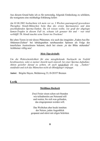 Aus diesem Grund halte ich es für notwendig, folgende Entdeckung zu schildern,
die wenigstens eine stichhaltige Erklärung liefert:

Am 01.06.2001 beobachtete ich mein vor ca. 3 Wochen paarungsreif gewordenes
Theraphos blondi-Männchen beim Bau des ersten Spermanetzes und dem
anschließenden Sperma-Tanken. Da ich wissen wollte, wie groß der abgelegte
Samen-Tropfen in diesem Fall ist, schaute ich genauer hin und – war total
verblüfft! Th. blondi tauchte seine Taster ins Trockene!

Bei alten Tieren ist mir dieses Phänomen, wie auch das imaginäre „Faden-Aus-De-
Abdomen-Ziehen“ bei labidognathen netzbauenden Spinnen als Folge des
innerlichen Austrocknens bekannt, doch bei einem „in der Blüte stehenden“
Achtbeiner völlig neu!

                             Mein Tipp deshalb:

Um die Wahrscheinlichkeit für eine missglückende Nachzucht im Vorfeld
herabzusetzen, wäre es meiner Ansicht nach sinnvoll, bei einer Sperma-Aufnahme-
Aktion gezielter darauf zu achten, ob auch tatsächlich ein sog. „Tanken“
stattfindet und sich das Männchen nicht als Blindgänger entpuppt.

Autor: Brigitte Hayen, Meldenweg 33, D-28357 Bremen


Lyrik___________________________________________________

                             Metillinas Hochzeit

                     Zwei Freier sitzen schon seit Stunden
                      wie teilnahmslos am Netzrand still
                      und warten, bis sich was gefunden,
                        das eingesponnen werden will.

                      Das Weibchen aber hockt inmitten
                        des Netzes, jeden Augenblick
                    gespannt und stürzt mit eilgen Schritten



                                       8
 
