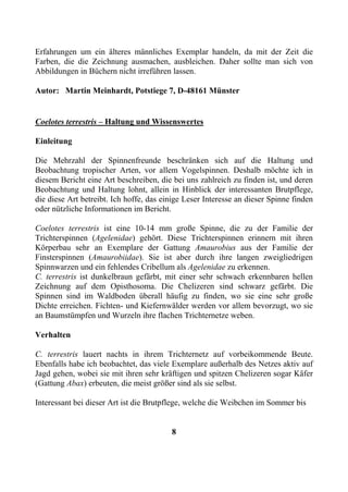 Erfahrungen um ein älteres männliches Exemplar handeln, da mit der Zeit die
Farben, die die Zeichnung ausmachen, ausbleichen. Daher sollte man sich von
Abbildungen in Büchern nicht irreführen lassen.

Autor: Martin Meinhardt, Potstiege 7, D-48161 Münster


Coelotes terrestris – Haltung und Wissenswertes

Einleitung

Die Mehrzahl der Spinnenfreunde beschränken sich auf die Haltung und
Beobachtung tropischer Arten, vor allem Vogelspinnen. Deshalb möchte ich in
diesem Bericht eine Art beschreiben, die bei uns zahlreich zu finden ist, und deren
Beobachtung und Haltung lohnt, allein in Hinblick der interessanten Brutpflege,
die diese Art betreibt. Ich hoffe, das einige Leser Interesse an dieser Spinne finden
oder nützliche Informationen im Bericht.

Coelotes terrestris ist eine 10-14 mm große Spinne, die zu der Familie der
Trichterspinnen (Agelenidae) gehört. Diese Trichterspinnen erinnern mit ihren
Körperbau sehr an Exemplare der Gattung Amaurobius aus der Familie der
Finsterspinnen (Amaurobiidae). Sie ist aber durch ihre langen zweigliedrigen
Spinnwarzen und ein fehlendes Cribellum als Agelenidae zu erkennen.
C. terrestris ist dunkelbraun gefärbt, mit einer sehr schwach erkennbaren hellen
Zeichnung auf dem Opisthosoma. Die Chelizeren sind schwarz gefärbt. Die
Spinnen sind im Waldboden überall häufig zu finden, wo sie eine sehr große
Dichte erreichen. Fichten- und Kiefernwälder werden vor allem bevorzugt, wo sie
an Baumstümpfen und Wurzeln ihre flachen Trichternetze weben.

Verhalten

C. terrestris lauert nachts in ihrem Trichternetz auf vorbeikommende Beute.
Ebenfalls habe ich beobachtet, das viele Exemplare außerhalb des Netzes aktiv auf
Jagd gehen, wobei sie mit ihren sehr kräftigen und spitzen Chelizeren sogar Käfer
(Gattung Abax) erbeuten, die meist größer sind als sie selbst.

Interessant bei dieser Art ist die Brutpflege, welche die Weibchen im Sommer bis


                                         8
 