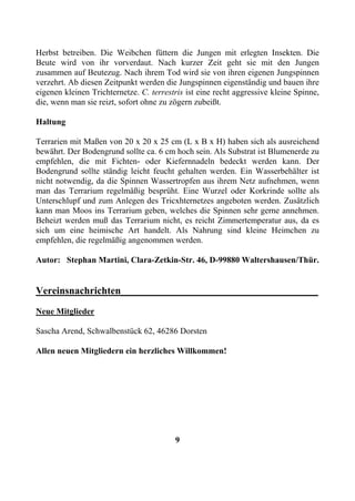 Herbst betreiben. Die Weibchen füttern die Jungen mit erlegten Insekten. Die
Beute wird von ihr vorverdaut. Nach kurzer Zeit geht sie mit den Jungen
zusammen auf Beutezug. Nach ihrem Tod wird sie von ihren eigenen Jungspinnen
verzehrt. Ab diesen Zeitpunkt werden die Jungspinnen eigenständig und bauen ihre
eigenen kleinen Trichternetze. C. terrestris ist eine recht aggressive kleine Spinne,
die, wenn man sie reizt, sofort ohne zu zögern zubeißt.

Haltung

Terrarien mit Maßen von 20 x 20 x 25 cm (L x B x H) haben sich als ausreichend
bewährt. Der Bodengrund sollte ca. 6 cm hoch sein. Als Substrat ist Blumenerde zu
empfehlen, die mit Fichten- oder Kiefernnadeln bedeckt werden kann. Der
Bodengrund sollte ständig leicht feucht gehalten werden. Ein Wasserbehälter ist
nicht notwendig, da die Spinnen Wassertropfen aus ihrem Netz aufnehmen, wenn
man das Terrarium regelmäßig besprüht. Eine Wurzel oder Korkrinde sollte als
Unterschlupf und zum Anlegen des Tricxhternetzes angeboten werden. Zusätzlich
kann man Moos ins Terrarium geben, welches die Spinnen sehr gerne annehmen.
Beheizt werden muß das Terrarium nicht, es reicht Zimmertemperatur aus, da es
sich um eine heimische Art handelt. Als Nahrung sind kleine Heimchen zu
empfehlen, die regelmäßig angenommen werden.

Autor: Stephan Martini, Clara-Zetkin-Str. 46, D-99880 Waltershausen/Thür.


Vereinsnachrichten_______________________________________
Neue Mitglieder

Sascha Arend, Schwalbenstück 62, 46286 Dorsten

Allen neuen Mitgliedern ein herzliches Willkommen!




                                         9
 