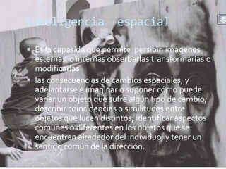 Inteligencia             espacial

 Es la capasida que permite persibir imágenes
  esternas o internas obserbarlas transformarlas o
  modificarlas
 las consecuencias de cambios espaciales, y
  adelantarse e imaginar o suponer cómo puede
  variar un objeto que sufre algún tipo de cambio;
  describir coincidencias o similitudes entre
  objetos que lucen distintos; identificar aspectos
  comunes o diferentes en los objetos que se
  encuentran alrededor del individuo; y tener un
  sentido común de la dirección.
 