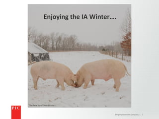 ©Pig Improvement Company. | 1
Enjoying the IA Winter….
The New York Times Picture
 