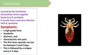 problem caused by arthropods