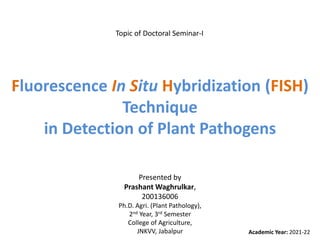 Fluorescence In Situ Hybridization (FISH)
Technique
in Detection of Plant Pathogens
Topic of Doctoral Seminar-I
Presented by
Prashant Waghrulkar,
200136006
Ph.D. Agri. (Plant Pathology),
2nd Year, 3rd Semester
College of Agriculture,
JNKVV, Jabalpur Academic Year: 2021-22
 