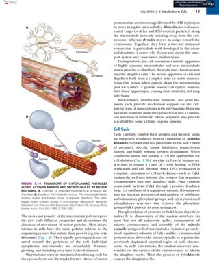 Pollarding Cell (Original PDF) Cell Biology 3rd Edition by Thomas D. Pollard | PDF