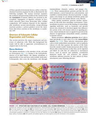(Original PDF) Cell Biology 3rd Edition by Thomas D. Pollard | PDF