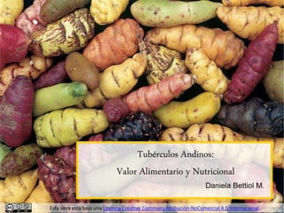 Tubérculos Andinos:
Valor Alimentario y Nutricional
Daniela Bettiol M.
Esta obra está bajo una Licencia Creative Commons Atribución-NoComercial 4.0 Internacional.
 