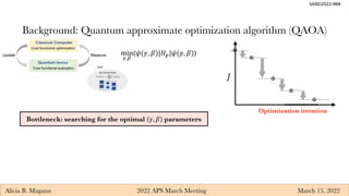 Alicia Magann Quantum Control Pulses Slides | PDF