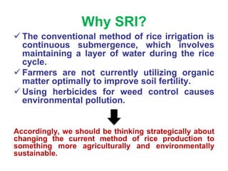 Why SRI?
 The conventional method of rice irrigation is
continuous submergence, which involves
maintaining a layer of wat...