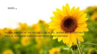 SESIÓN 4
Propósito: IDENTIFICAR DOS REGLAS CLÁSICAS DEL DESARROLLO SUSTENTABLE
PARA EL ADECUADO FUNCIONAMIENTO DE LOS ECOSISTEMAS.
 