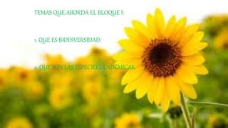 TEMAS QUE ABORDA EL BLOQUE I:
1. QUE ES BIODIVERSIDAD.
2. QUE SON LAS ESPECIEES ENDÉMICAS.
 