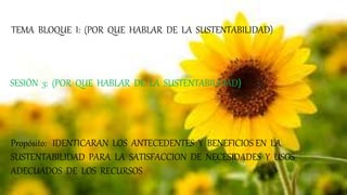 SESIÓN 3: (POR QUE HABLAR DE LA SUSTENTABILIDAD)
TEMA BLOQUE I: (POR QUE HABLAR DE LA SUSTENTABILIDAD)
Propósito: IDENTICARAN LOS ANTECEDENTES Y BENEFICIOS EN LA
SUSTENTABILIDAD PARA LA SATISFACCION DE NECESIDADES Y USOS
ADECUADOS DE LOS RECURSOS
 