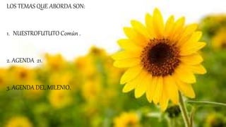 LOS TEMAS QUE ABORDA SON:
1. NUESTROFUTUTO Común .
2. AGENDA 21.
3. AGENDA DEL MILENIO.
 
