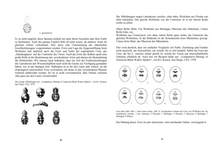 Die Abbildungen zeigen Latrodectus variolus: oben links, Weibchen aus Florida von
                                                                                                       oben betrachtet. Das gleiche Weibchen von der Unterseite ist in der oberen Reihe
                                                                                                       rechts zu sehen.

                                                                                                       Obere Reihe Mitte: Ein Weibchen aus Michigan, Oberseite des Abdomens. Untere
                          L. geometricus                                                               Reihe links, ein
                                                                                                       Weibchen aus Connecticut, von oben, untere Reihe ganz rechts, die Unterseite des
Es ist nicht möglich, diese Spinnen einfach nur nach ihrem Aussehen oder ihrer Farbe                   gleichen Weibchens. In der Bildmitte ist die Seitenansicht eines Männchens gezeigt.
zu bestimmen. Auch der genaue Fundort hilft oft nicht weiter, da mehrere Arten im                      Untere Seite Mitte, die Oberseite des Männchens.
gleichen Gebiet vorkommen. Hier muss eine Untersuchung der männlichen
Geschlechtsorgane vorgenommen werden, Form und Lage der Epigyneöffnung beim                            Hier wird deutlich, dass ein einfacher Vergleich von Farbe, Zeichnung und Fundort
Weibchen und natürlich auch die Form und Farbe der sogenannten Urne, des                               nicht ausreicht, um festzustellen, um welche Art es sich handelt. Selbst die Form der
„Stundenglases“ auf der Unterseite des Tieres. Auch die Form der Bulben spielt eine                    Urne, die bei L. variolus immer geteilt ist, weicht bei Tieren aus unterschiedlichen
große Rolle in der Bestimmung der verschiedenen Arten und ebenso die Bestachelung                      Gebieten erheblich ab. Auch hier ein Beispiel dafür aus: „Comparative Biology of
des Hinterleibes. Wir müssen auch bedenken, dass zur Zeit der Erstbeschreibungen                       American Black Widow Spiders“, von B.J. Kaston, San Diego, USA, 1970
der Latrodecten den Wissenschaftlern noch nicht die Geräte zur Verfügung gestanden
haben, wie in der heutigen Zeit. Außerdem ist es für den Laien sehr schwer, an die
ursprünglich untersuchten Tiere zu kommen, die heute in den verschiedenen Museen
weltweit aufbewahrt werden. So ist es nicht verwunderlich, dass Namen variieren
oder ganz aus den Listen verschwinden.

Hier einige Abbildungen aus: „Comparative Biology of American Black Widow Spiders“, von B.J. Kaston,
San Diego, USA, 1970




                                                                                                       Von oben links Abb. 1 nach unten rechts, Abb. 8, verschiedene Formen der Urne von Weibchen der Art
                                                                                                       Latrodectus variolus: 1 aus Arkansas, 2 Missouri, 3 Michigan, 4 Missouri, 5 Missouri, 6 Michigan, 7
                                                                                                       Michigan, 8 Illinois.

                                                                                                       Die Haltung dieser Tiere ist sehr interessant, viele leuchtende Farben, vorwiegend in




                                                 8                                                                                                     9
 