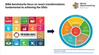 WBA benchmarks focus on seven transformations
fundamental to achieving the SDGs
Measuring what matters most. Seven systems transformations for benchmarking
companies on the SDGs.
https://www.worldbenchmarkingalliance.org/systems-transformations-report/
 