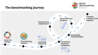 6
The benchmarking journey
 