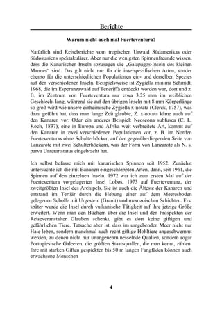 Berichte

                Warum nicht auch mal Fuerteventura?

Natürlich sind Reiseberichte vom tropischen Urwald Südamerikas oder
Südostasiens spektakulärer. Aber nur die wenigsten Spinnenfreunde wissen,
dass die Kanarischen Inseln sozusagen die „Galapagos-Inseln des kleinen
Mannes“ sind. Das gilt nicht nur für die inselspezifischen Arten, sonder
ebenso für die unterschiedlichen Populationen ein- und derselben Spezies
auf den verschiedenen Inseln. Beispielsweise ist Zygiella minima Schmidt,
1968, die im Esperanzawald auf Teneriffa entdeckt worden war, dort und z.
B. im Zentrum von Fuerteventura nur etwa 3,25 mm im weiblichen
Geschlecht lang, während sie auf den übrigen Inseln mit 8 mm Körperlänge
so groß wird wie unsere einheimische Zygiella x-notata (Clerck, 1757), was
dazu geführt hat, dass man lange Zeit glaubte, Z. x-notata käme auch auf
den Kanaren vor. Oder ein anderes Beispiel: Neoscona subfusca (C. L.
Koch, 1837), eine in Europa und Afrika weit verbreitete Art, kommt auf
den Kanaren in zwei verschiedenen Populationen vor, z. B. im Norden
Fuerteventuras ohne Schulterhöcker, auf der gegenüberliegenden Seite von
Lanzarote mit zwei Schulterhöckern, was der Form von Lanzarote als N. s.
parva Unterartstatus eingebracht hat.

Ich selbst befasse mich mit kanarischen Spinnen seit 1952. Zunächst
untersuchte ich die mit Bananen eingeschleppten Arten, dann, seit 1961, die
Spinnen auf den einzelnen Inseln. 1972 war ich zum ersten Mal auf der
Fuerteventura vorgelagerten Insel Lobos, 1973 auf Fuerteventura, der
zweitgrößten Insel des Archipels. Sie ist auch die Älteste der Kanaren und
entstand im Tertiär durch die Hebung einer auf dem Meeresboden
gelegenen Scholle mit Urgestein (Granit) und mesozoischen Schichten. Erst
später wurde die Insel durch vulkanische Tätigkeit auf ihre jetzige Größe
erweitert. Wenn man den Büchern über die Insel und den Prospekten der
Reiseveranstalter Glauben schenkt, gibt es dort keine giftigen und
gefährlichen Tiere. Tatsache aber ist, dass im umgebenden Meer nicht nur
Haie leben, sondern manchmal auch recht giftige Hohltiere angeschwemmt
werden, zu denen nicht nur unangenehm nesselnde Quallen, sondern sogar
Portugiesische Galeeren, die größten Staatsquallen, die man kennt, zählen.
Ihre mit starken Giften gespickten bis 50 m langen Fangfäden können auch
erwachsene Menschen




                                    4
 