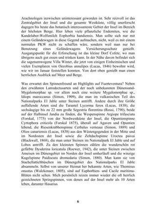 Arachnologen inzwischen uninteressant geworden ist. Sehr reizvoll ist das
Zentralgebiet der Insel und die gesamte Westküste, völlig unerforscht
dagegen bis heute das botanisch interessanteste Gebiet der Insel im Bereich
der höchsten Berge. Hier leben viele pflanzliche Endemiten, wie die
Kandelaber-Wolfsmilch Eophorbia handiensis. Man sollte sich nur mit
einem Geländewagen in diese Gegend aufmachen, nicht, weil es mit einem
normalen PKW nicht zu schaffen wäre, sondern weil man nur bei
Benutzung     eines    Geländewagens       Versicherungsschutz      genießt.
Ausgangspunkt für die Erforschung ist das kleine Dorf Cofete, wo man
übrigens auch gut essen und trinken kann. In der Nähe davon befindet sich
die sagenumwogene Villa Winter, die jetzt von einigen Einheimischen und
vielen Exemplaren von Oecobius annulipes (Lucas, 1846) bewohnt wird,
wie wir im Januar feststellen konnten. Von dort oben genießt man einen
herrlichen Ausblick auf Meer und Berge.

Was erwartet den Spinnenfreund an Highlights auf Fuerteventura? Neben
den erwähnten Latrodectusarten und der noch unbekannten Dünensand-
Mygalomorphae sp. vor allem noch eine weitere Mygalomorphae sp.,
Idiops maroccanus (Simon, 1909), die man im vulkanischen Teil des
Nationalparks El Jable unter Steinen antrifft. Andere durch ihre Größe
auffallende Arten sind die Tarantel Lycorma ferox (Lucas, 1838), die
sechsäugige bis zu 22 mm große Segestria florentina (Rossi, 1790), beide
auf der Halbinsel Jandia zu finden, die Wespenspinne Argiope trifasciata
(Forskal, 1775) von der Nordwestküste der Insel, die Opuntienspinne
Cyrtophora criticola (Forskal 1875), überall auf Agaven und Opuntien
lebend, die Riesenkrabbenspinne Cerbalus verneaui (Simon, 1889) und
Olios canariensis (Lucas, 1838) aus den Wüstengegenden in der Mitte und
im Nordosten der Insel sowie die Zeltdachspinne Uroctea paivai
(Blackwall, 1868), die man unter Steinen im Nationalpark El Jable und auf
Lobos antrifft. Zu den kleinsten Spinnen zählen die wunderschön rot
gefärbte Dysderina loricatula (Roewer, 1942), die unter Steinen zwischen
Ameisen im Dünengebiet im Norden der Insel umherläuft und die winzige
Kugelspinne Paidiscura dromedaria (Simon, 1880). Man kann sie von
Stachellattichbüschen im Dünengebiet des Nationalparks El Jable
absammeln. Selbst von unserer Heimat her bekannte Arten, wie Thomisus
onustus (Walckenaer, 1805), sind auf Euphorbien- und Cacile maritima-
Blüten nicht selten. Mich persönlich reizen immer wieder die oft herrlich
gezeichneten Springspinnen, von denen auf der Insel mehr als 10 Arten
leben, darunter Hasarius



                                     6
 