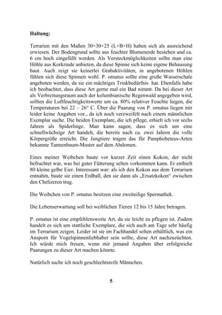 Haltung:

Terrarien mit den Maßen 30+30+25 (L+B+H) haben sich als ausreichend
erwiesen. Der Bodengrund sollte aus feuchter Blumenerde bestehen und ca.
6 cm hoch eingefüllt werden. Als Versteckmöglichkeiten sollte man eine
Höhle aus Korkrinde anbieten, da diese Spinne sich keine eigene Behausung
baut. Auch zeigt sie keinerlei Grabaktivitäten, in angebotenen Höhlen
fühlen sich diese Spinnen wohl. P. ornatus sollte eine große Wasserschale
angeboten werden, da sie ein mächtiges Trinkbedürfnis hat. Ebenfalls habe
ich beobachtet, dass diese Art gerne mal ein Bad nimmt. Da bei dieser Art
als Verbreitungsraum auch der kolumbianische Regenwald angegeben wird,
sollten die Luftfeuchtigkeitswerte um ca. 80% relativer Feuchte liegen, die
Temperaturen bei 22 – 26° C. Über die Paarung von P. ornatus liegen mir
leider keine Angaben vor., da ich noch verzweifelt nach einem männlichen
Exemplar suche. Die beiden Exemplare, die ich pflege, erhielt ich vor sechs
Jahren als Spiderlinge. Man kann sagen, dass es sich um eine
schnellwüchsige Art handelt, die bereits nach ca. zwei Jahren die volle
Körpergröße erreicht. Die Jungtiere tragen das für Pamphobeteus-Arten
bekannte Tannenbaum-Muster auf dem Abdomen.

Eines meiner Weibchen baute vor kurzer Zeit einen Kokon, der nicht
befruchtet war, was bei guter Fütterung selten vorkommen kann. Er enthielt
80 kleine gelbe Eier. Interessant war: als ich den Kokon aus dem Terrarium
entnahm, baute sie einen Erdball, den sie dann als „Ersatzkokon“ zwischen
den Chelizeren trug.

Die Weibchen von P. ornatus besitzen eine zweiteilige Spermathek.

Die Lebenserwartung soll bei weiblichen Tieren 12 bis 15 Jahre betragen.

P. ornatus ist eine empfehlenswerte Art, da sie leicht zu pflegen ist. Zudem
handelt es sich um stattliche Exemplare, die sich auch am Tage sehr häufig
im Terrarium zeigen. Leider ist sie im Fachhandel selten erhältlich, was ein
Ansporn für Vogelspinnenliebhaber sein sollte, diese Art nachzuzüchten.
Ich würde mich freuen, wenn mir jemand Angaben über erfolgreiche
Paarungen zu dieser Art machen könnte.

Natürlich suche ich noch geschlechtsreife Männchen.


                                     5
 