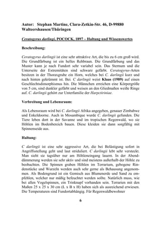 Autor: Stephan Martine, Clara-Zetkin-Str. 46, D-99880
Walteershausen/Thüringen

Ceratogyrus darlingi, POCOCK, 1897 – Haltung und Wissenswertes

Beschreibung:

Ceratogyrus darlingii ist eine sehr attraktive Art, die bis zu 6 cm groß wird.
Die Grundfärbung ist ein helles Rehbraun. Die Grundfärbung und das
Muster kann je nach Fundort sehr variabel sein. Das Sternum und die
Unterseite der Extremitäten sind schwarz gefärbt. Ceratogyrus-Arten
besitzen in der Thoraxgrube ein Horn, welches bei C. darlingii kurz und
nach hinten gekrümmt ist. Bei. C darlingii weist Klaas (1989) auf einen
Geschlechtsdimorphismus hin. Die Männchen erreichen eine Körpergröße
von 5 cm, sind dunkler gefärbt und weisen an den Gliedmaßen weiße Ringe
auf. C. darlingii gehört zur Unterfamilie der Harpctiriniae.

Verbreitung und Lebensraum:

Als Lebensraum wird bei C. darlingii Afrika angegeben, genauer Zimbabwe
und Enkeldoorne. Auch in Mosambique wurde C. darlingii gefunden. Die
Tiere leben dort in der Savanne und im tropischen Regenwald, wo sie
Höhlen im Bodenbereich bauen. Diese kleiden sie dann sorgfältig mit
Spinnenseide aus.

Haltung:

C darlingii ist eine sehr aggressive Art, die bei Belästigung sofort in
Angriffsstellung geht und laut striduliert. C darlingii lebt sehr versteckt.
Man sieht sie tagsüber nur am Höhleneingang lauern. In der Abend-
dämmerung werden sie sehr aktiv und sind meistens außerhalb der Höhle zu
beobachten. Die Spinnen graben Höhlen im Terrarium, gebogene Rin-
denstücke und Wurzeln werden auch sehr gerne als Behausung angenom-
men. Als Bodengrund ist ein Gemisch aus Blumenerde und Sand zu em-
pfehlen, welcher nur mäßig befeuchtet werden sollte. Natürlich muss, wie
bei allen Vogelspinnen, ein Trinknapf vorhanden sein. Terrarien mit den
Maßen 25 x 25 x 30 cm (L x B x H) haben sich als ausreichend erwiesen.
Die Temperaturen sind Fundortabhängig. Für Regenwaldbewohner

                                      6
 