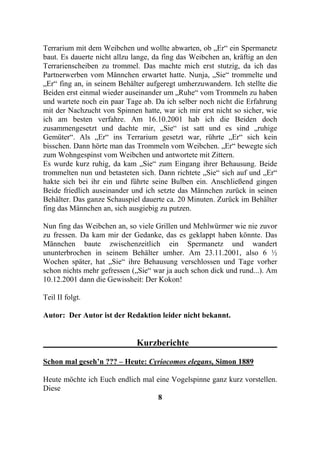 Terrarium mit dem Weibchen und wollte abwarten, ob „Er“ ein Spermanetz
baut. Es dauerte nicht allzu lange, da fing das Weibchen an, kräftig an den
Terrarienscheiben zu trommel. Das machte mich erst stutzig, da ich das
Partnerwerben vom Männchen erwartet hatte. Nunja, „Sie“ trommelte und
„Er“ fing an, in seinem Behälter aufgeregt umherzuwandern. Ich stellte die
Beiden erst einmal wieder auseinander um „Ruhe“ vom Trommeln zu haben
und wartete noch ein paar Tage ab. Da ich selber noch nicht die Erfahrung
mit der Nachzucht von Spinnen hatte, war ich mir erst nicht so sicher, wie
ich am besten verfahre. Am 16.10.2001 hab ich die Beiden doch
zusammengesetzt und dachte mir, „Sie“ ist satt und es sind „ruhige
Gemüter“. Als „Er“ ins Terrarium gesetzt war, rührte „Er“ sich kein
bisschen. Dann hörte man das Trommeln vom Weibchen. „Er“ bewegte sich
zum Wohngespinst vom Weibchen und antwortete mit Zittern.
Es wurde kurz ruhig, da kam „Sie“ zum Eingang ihrer Behausung. Beide
trommelten nun und betasteten sich. Dann richtete „Sie“ sich auf und „Er“
hakte sich bei ihr ein und führte seine Bulben ein. Anschließend gingen
Beide friedlich auseinander und ich setzte das Männchen zurück in seinen
Behälter. Das ganze Schauspiel dauerte ca. 20 Minuten. Zurück im Behälter
fing das Männchen an, sich ausgiebig zu putzen.

Nun fing das Weibchen an, so viele Grillen und Mehlwürmer wie nie zuvor
zu fressen. Da kam mir der Gedanke, das es geklappt haben könnte. Das
Männchen baute zwischenzeitlich ein Spermanetz und wandert
ununterbrochen in seinem Behälter umher. Am 23.11.2001, also 6 ½
Wochen später, hat „Sie“ ihre Behausung verschlossen und Tage vorher
schon nichts mehr gefressen („Sie“ war ja auch schon dick und rund...). Am
10.12.2001 dann die Gewissheit: Der Kokon!

Teil II folgt.

Autor: Der Autor ist der Redaktion leider nicht bekannt.


                             Kurzberichte

Schon mal geseh’n ??? – Heute: Cyriocomos elegans, Simon 1889

Heute möchte ich Euch endlich mal eine Vogelspinne ganz kurz vorstellen.
Diese
                                  8
 