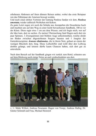 erhobenen Abdomen auf ihren dünnen Beinen umher, wobei das erste Beinpaar
wie das Fühlerpaar der Ameisen bewegt werden.
Und noch einen dritten Vertreter der Gattung Pardosa fanden wir dort, Pardosa
amentata, wieder zahlreich Weibchen mit Kokon.
Zu guter Letzt zogen wir noch die Schuhe aus, krempelten die Hosenbeine hoch
und machten uns auf den Weg zu einer leicht bewachsenen Sandbank, 100 m vor
der Küste. Diese ragte etwa 1 cm aus dem Wasser, und ich fragte mich, wer auf
die Idee kam, dort zu suchen. Zu meiner Überraschung fand Hagen auch dort ein
paar Spinnen. 3 Zwergspinnen (mit bloßem Auge unbestimmbar), welche direkt
am Boden zwischen abgestorbenen Seegras hausten und 1 Jungtier der
Gartenkreuzspinne Araneus diadematus, die in ihrem Netz, gebaut an einem der
wenigen Büscheln dort, hing. Diese Luftschiffer sind wohl über den Luftweg
dorthin gelangt, und letztere dürfte kaum Chancen haben, sich dort gut zu
entwickeln.

Nach dem Besuch auf der Sandbank gingen wir zurück zum Hotel, schauten uns
auf dem Rückweg noch einige Netze an und verabschiedeten uns dort.




v. l.: Malte Willert, Andreas Neumann, Hagen von Tronje, Andreas Halbig, Dr.
Günter Schmidt und Frau, Michael Heinrich



                                     11
 