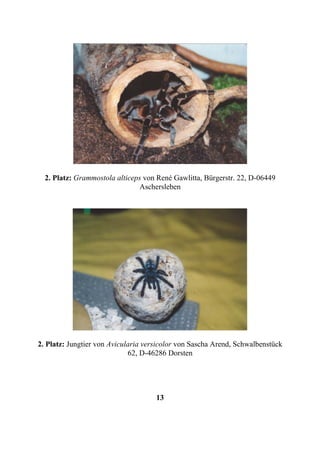 2. Platz: Grammostola alticeps von René Gawlitta, Bürgerstr. 22, D-06449
                               Aschersleben




2. Platz: Jungtier von Avicularia versicolor von Sascha Arend, Schwalbenstück
                             62, D-46286 Dorsten




                                     13
 