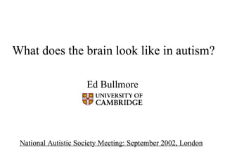 What does the brain look like in autism? Ed Bullmore National Autistic Society Meeting: September 2002, London   