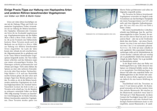 DeArGe Mitteilungen 7(11), 2002                                                                                                                                                                      DeArGe Mitteilungen 7(11), 2002




Einige Praxis-Tipps zur Haltung von Haplopelma Arten                                                                                                                         Martin Huber perfektioniert und sollen im
                                                                                                                                                                             folgenden vorgestellt werden.
und anderen Röhren bewohnenden Vogelspinnen                                                                                                                                       Als Terrarien für Röhren bewohnende
von Volker von Wirth & Martin Huber                                                                                                                                          Vogelspinnen verwenden wir länglich-ovale
                                                                                                                                                                             Vorratsdosen aus durchsichtigem Hartplastik
                                                                                                                                                                             mit einem Fassungsvolumen von 2,8 l oder
     Schon seit vielen Jahren beschäftigen wir
                                                                                                                                                                             mehr und etwa folgenden Außenabmessun-
uns mit der Haltung, Pflege und Zucht von
                                                                                                                                                                             gen: 18,5 cm x 10,5 cm x 22,5 cm (Tiefe x
asiatischen Vogelspinnen. Früher verwende-
                                                                                                                                                                             breite x Höhe).
ten wir zur Haltung der Röhren bewohnen-
                                                                                                                                                                                  Mit einem handelsüblichen Lötkolben
den Haplopelma, Selenocosmia oder Coremiocne-
                                                                                                                                                                             schmilzt man Belüftungs- bzw. Be- und Ent-
mis Arten die im Zoohandel angebotenen                                                                        Detailansicht: Be- und Entwässerungslöcher unten vorne.
                                                                                                                                                                             wässerungslöcher in diese Terrarien. Sie wer-
sog. »Vogelspinnenterrarien« mit den Maßen
                                                                                                                                                                             den um den oberen Rand als auch um den
30cm x 20cm x 20cm (Tiefe x Höhe x Brei-
                                                                                                                                                                             unteren Rand – oder nur an der Vorderseite
te), die an der Frontseite eine Falltürscheibe
                                                                                                                                                                             direkt über dem Boden – mit einem Durch-
besitzen. Diese Terrarien wurde nach der
                                                                                                                                                                             messer von etwa 4 mm und einem Abstand
Methode von von Wirth (VON WIRTH 1996)
                                                                                                                                                                             von etwa 1 bis 1,5 cm zueinander gebrannt.
zur Haltung von »Röhren bewohnenden
                                                                                                                                                                             ACHTUNG : Die Arbeit mit einem Lötkolben ist
Arten« eingerichtet. Im Laufe der Jahre
                                                                                                                                                                             nicht ungefährlich. Bitte entsprechende Sicherheits-
konnte aber oftmals ein sich verschlechtern-
                                                                                                                                                                             vorkehrungen treffen und die Sicherheitshinweise des
der Allgemeinzustand der so gehaltenen und
                                                                                                                                                                             Gerätes beachten! Außerdem sollte man vorsichtig
in der Natur Röhren bewohnenden Vogel-
                                                      Mit einem Lötkolben werden die Löcher eingeschmolzen.                                                                  sein vor gesundheitlichen Schäden beim einatmen der
spinnen festgestellt werden. Die Tiere fraßen
                                                                                                                                                                             Dämpfe des heißen Plastiks! Nur in gut durchlüfte-
immer schlechter und das Abdomen zeigte
                                                                                                                                                                             ten Räumlichkeiten arbeiten!
eine immer schrumpeligere Struktur. Die
                                                                                                                                                                                  In der Regel reicht oben eine Reihe von
Häutungen verliefen problematischer und
                                                                                                                                                                             Belüftungslöchern aus. Sollte dennoch eine
oftmals auch länger. Nicht selten blieben die
                                                                                                                                                                             Spinne von Schimmel befallen werden, kann
Spinnen an einer oder mehreren Extremitä-
                                                                                                                                                                             es an mangelnder Durchlüftung liegen. In
ten in der alten Haut stecken. Nachzuchter-
                                                                                                                                                                             diesem Fall sollte eine zusätzliche Reihe von
folge blieben i. d. R. auch aus. Bestenfalls
                                                                                                                                                                             Belüftungslöchern in den Deckel oder unter-
wurden Kokons gebaut, die aber schon nach
                                                                                                                                                                             halb der oberen Reihe angebracht werden,
wenigen Tagen bzw. Wochen gefressen wur-
                                                                                                                                                                             um dadurch für eine bessere Belüftung zu
den. Es schien so, als ob die Röhren bewoh-
                                                                                                                                                                             sorgen.
nenden asiatischen Vogelspinnen ein »Luft-
                                                                                                                                                                                  Anschließend wird das Terrarium zu
feuchtigkeitsproblem« der Atemluft hatten.
                                                                                                                                                                             etwa 2/3 mit Substrat gefüllt. Als Boden-
Tatsächlich trocknet die Erde in den o. g.
                                                                                                                                                                             grund verwenden wir bei den meisten Arten
Terrarien recht schnell aus. Um die Situation
                                                                                                                                                                             eine einfache Blumenerde. Wir mischen zu
zu verbessern, entwickelte Volker von Wirth
                                                                                                                                                                             der Blumenerde zusätzlich etwas Sand (1
1995 völlig neuartige Terrarien zur dauerhaf-
                                                                                                                                                                             Teil Sand auf 4 Teile Blumenerde), da dieses
ten Unterbringung der im Boden lebenden,
                                                                                                                                                                             Gemisch die Feuchtigkeit besser hält. Je nach
Röhren bewohnenden asiatischen Vogelspin-
                                                                                                                                                                             Vogelspinnenart und/oder Herkunft bzw.
nen. Diese Terrarien wurden später von
                                                                                                                                                                             dortigen Bodenverhältnissen kann es sich
                                                      Einschmelzen der Löcher am oberen Rand.                 Fertig gelochte Vorratsdose.                                   empfehlen, anstatt Blumenerde z. B. sandi-
                                                 14                                                                                                                     15
 