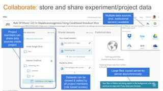 Collaborate: store and share experiment/project data
Project
members can
share data
sources inside
project
Multiple data sources
(incl. institutional
servers) available
Datasets can be
viewed & edited by
all project members
(role based access)
Large files copied server-to-
server asynchronously.
 