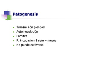 Patogenesis
 Transmisión piel-piel
 Autoinoculación
 Fomites
 P. incubación 1 sem – meses
 No puede cultivarse
 