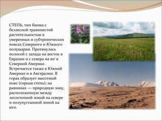 Жизнь степей | PPT
