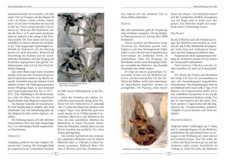 DeArGe Mitteilungen 8(1), 2003                                                                                                                                                DeArGe Mitteilungen 8(1), 2003



baumbewohnende Arten bewährt. Ich halte                                                               zen) häutete sich das subadulte Tier zu           kaum eine Minute. Anschließend trennen
meine Tiere in Terrarien mit den Massen 20                                                            einem adulten Männchen.                           sich die Geschlechter friedlich (Ausnahmen
x 30 x 30 (Breite x Tiefe x Höhe). Dieses                                                                                                               von der Regel wird es sicher auch hier
statte ich mit einer Korkröhre mit dem der                                                            PAARUNG                                           geben). Das Weibchen begibt sich umge-
Größe des Tieres entsprechenden Durch-                                                                                                                  hend in ihren Unterschlupf zurück.
messer (ca. 10cm) aus. Die Korkröhren, wel-                                                           Wie oben beschrieben, geht die Verpaarung
che die Tiere i. d. R. auch sofort annehmen,                                                          ohne Probleme vonstatten. Die beschriebe-         DER KOKON
habe ich senkrecht oder schräg in das Terra-                                                          ne Paarung konnte ich Anfang März 2000
rium gestellt. Die Tiere halten sich fast aus-                                                        beobachten.                                       Bereits 6 Wochen nach der Verpaarung fer-
schließlich im unteren Bereich der Korkröh-                                                               Gleich nachdem das Männchen in das            tigte das Weibchen einen Kokon an, nach-
re auf. Eine ausgeprägte Spinntätigkeit au-                                                           Terrarium des Weibchens gesetzt wird,             dem sie sich in ihre Wohnhöhle zurückgezo-
ßerhalb der Kokonzeit und der Häutung                                                                 beginnt es mit dem Paarungsritual. Dabei          gen (siehe dazu auch »Haltung im Terrari-
konnte ich nicht feststellen. Während der                                                             nähert es sich zitternd und trommelnd dem         um«) und den Eingang verschlossen hatte.
Herstellung des Kokons und der ansch-                                                                 Unterschlupf des weiblichen Tieres. In                Aufgrund des dicht zugesponnenen Ein-
ließenden Brutpflege wird der Eingang der                                                             unmittelbarer Nähe des Eingangs der               gang der Korkröhre konnte ich den Kokon
Korkröhre zugesponnen. Das gleiche Ver-                                                               Wohnhöhle werden seine Bewegungen hefti-          nur schemenhaft wahrnehmen.
haltensmuster zeigt sich bei einer bevorste-                                                          ger, woraufhin das Weibchen, nun ebenfalls            Nach weiteren 5 Wochen (um den 25.
henden Häutung.                                                                                       trommelnd, ihre Höhle verlässt.                   Mai) entschloss ich mich zur Kokonentnah-
    Auf einen Wassernapf kann verzichtet                                                                  Es folgt ein kurzes gegenseitiges be-         me.
werden, wenn man das Terrarium ab und zu,                                                             trommeln, worauf sich das Weibchen auf-               Ich öffnete den Kokon und überführte
jedoch mindestens einmal in der Woche ein-                                                            richtet, um dem männlichen Tier das Ein-          den Inhalt (124 Tiere im Larvenstadium) in
sprüht. Zusätzlich kann das Substrat feucht                                                           führen der Bulben, welche kurz hintereinan-       eine mit Haushaltspapier ausgekleidete
                                                       Verpaarung von Psalmopoeus irminia
gehalten werden. Die Haltungstemperaturen              Fotos: Marco Kaldenbach                        der abwechselnd eingeführt werden, zu             Heimchenbox. Das Haushaltspapier hielt ich
meiner Pfleglinge liegen, je nach Jahreszeit                                                          ermöglichen. Die Paarung selbst dauert            anschließend leicht feucht (alle 2 Tage 10 ml
und Umgebungstemperatur, bei ca. 22°C -               im Falle meiner Haltungsweise in die Kor-                                                         Wasser). Die Heimchendose stellte ich in
32°C. Eine Abkühlung in den Wintermona-               kröhre.                                                                                           eine schließbare Styroporbox in der ich alle
ten sollte für diese Art den natürlichen                  Auch das Verhalten der adulten Ge-                                                            meine entnommenen Kokons zeitige. Um
Begebenheiten einer Regenzeit entsprechen.            schlechter untereinander bringt keine Pro-                                                        den 10. Juni häuteten sich die ersten Tiere.
    Als Substrat verwende ich Kokosfaserer-           bleme mit sich. Während bei P. cambridgei                                                         Nach weiteren 2 Tagen hatten sich alle Jung-
de. Eine Bepflanzung ist möglich, aber nicht          oder P. irminia das Männchen meistens nach                                                        spinnen ins Nymphenstadium gehäutet.
erforderlich. Auf eine Beleuchtung habe ich,          einigen Tagen vom Weibchen gefressen                                                              Lediglich 4 Larven konnten sich nicht ent-
wie übrigens bei allen meinen Spinnen, ver-           wurde, konnte ich in 2 Fällen (jeweils 2 ver-                                                     wickeln.
zichtet.                                              schiedene Männchen und Weibchen) die
    Als Nahrung eignen sich alle üblichen             Tiere bis zum natürlichen Ableben des                                                             DER ZWEITE KOKON
Futterinsekten. Tiere mit einer Körperlänge           Männchens in einem Terrarium halten.
von 2 cm überwältigen bereits ausgewachse-            Eines der Männchen verstarb dabei erst eine                                                       Aufgrund meiner Erfahrungen mit P. irminia
ne Heuschrecken.                                      Woche nachdem das weibliche Tier einen                                                            und P. cambridgei begann ich das Weibchen
                                                      Kokon gefertigt hatte.                                                                            anschließend mit ausreichend Futter zu ver-
VERHALTEN                                                 Ein weiteres mal hielt ich ein vermeint-                                                      sorgen, in der Hoffnung auf einen zweiten
                                                      lich subadultes Weibchen und ein adultes                                                          befruchteten Kokon. Das Tier nahm die
Psalmopoeus pulcher ist eine eher ruhigere Ver-       Männchen über ca. 4 Monate in einem Ter-                                                          Grillen und Heuschrecken gut an und das
treterin ihrer Gattung. Bei Störungen flieht          rarium zusammen. Während dieser Zeit                                                              Abdomen nahm wieder beträchtlich an
sie umgehend in ein vorhandenes Versteck,             (etwa 6 Wochen nach dem Zusammenset-             Psalmopoeus cambridgei mit Kokon                 Umfang zu. Ende Juli stellte das Weibchen
                                                  8                                                                                                 9
 