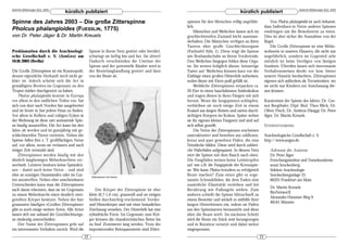 DeArGe Mitteilungen 8(2), 2003                                                                                                                                                   DeArGe Mitteilungen 8(2), 2003
                                 kürzlich publiziert                                                                                  kürzlich publiziert

Spinne des Jahres 2003 – Die große Zitterspinne                                                      spinnen für den Menschen völlig ungefähr-                Von Pholcus phalangioides ist auch bekannt,
                                                                                                     lich.                                                dass Individuen in Netze anderer Spinnen
Pholcus phalangioides (FUESSLIN, 1775)                                                                    Männchen und Weibchen lassen sich im            eindringen um die Bewohnerin zu töten.
von Dr. Peter Jäger & Dr. Martin Kreuels                                                             geschlechtsreifen Zustand leicht auseinan-           Dies ist aber sicher die Ausnahme von der
                                                                                                     derhalten: Die Männchen verfügen an ihren            Regel.
                                                                                                     Tastern über große Geschlechtsorgane                     Die Große Zitterspinne ist eine Mitbe-
Proklamation durch die Arachnologi-                  Spinne in ihrem Netz gestört oder berührt,      (Farbtafel Abb. 1). Diese trägt die Spinne           wohnerin in unseren Häusern, die nicht nur
sche Gesellschaft e. V. (AraGes) am                  schwingt sie heftig hin und her. Sie zittert!   wie Boxhandschuhe an ihrem Vorderende.               ungefährlich, sondern im Gegenteil sehr
10.01.2003 (Berlin)                                  Dadurch verschwinden die Umrisse der            Den Weibchen hingegen fehlen diese Orga-             nützlich ist beim Vertilgen von lästigen
                                                     Spinne und der potentielle Räuber wird in       ne. Sie weisen lediglich dünne, beinartige           Insekten. Überdies lassen sich interessante
Die Große Zitterspinne ist ein Kosmopolit,           der Beutefanghandlung gestört und lässt         Taster auf. Weibchen können kurz vor der             Verhaltensweisen direkt vor bzw. hinter
dessen eigentliche Herkunft noch nicht ge-           von der Beute ab.                               Eiablage einen großen Hinterleib aufweisen,          unserer Haustür beobachten. Zitterspinnen
klärt ist. Jedoch scheint sich die Art in                                                            wobei dieser mit Eiern prall gefüllt ist.            eigenen sich außerdem als Terrarientiere, wo
gemäßigten Breiten im Gegensatz zu den                                                                    Weibliche Zitterspinnen verpacken ca.           sie nicht nur Kindern zur Anschauung die-
Tropen stärker durchgesetzt zu haben.                                                                20 Eier in einen hauchdünnen Seidenkokon             nen können.
    Pholcus phalangioides kommt in Europa                                                            und tragen diesen in ihren Fängen mit sich
vor allem in den südlichen Teilen vor, hat                                                           herum. Wenn die Jungspinnen schlüpfen,               Kuratorium der Spinne des Jahres: Dr. Ger-
sich von dort nach Norden hin ausgebreitet                                                           verbleiben sie noch einige Zeit in einem             not Bergthaler, Dipl.-Biol. Theo Blick, Dr.
und ist heute in fast jedem Haus zu finden.                                                          Knäuel aus langen Beinen und zarten durch-           Oliver Finch, Dr. Ambros Hänggi, Dr. Peter
Vor allem in Kellern und ruhigen Ecken in                                                            sichtigen Körpern im Kokon. Später weben             Jäger, Dr. Martin Kreuels.
der Wohnung ist diese zart anmutende Spin-                                                           sie ihr eigenes kleines Fangnetz und sind auf
ne häufig anzutreffen. Die Art kann bis drei                                                         sich selbst gestellt.                                INTERNETADRESSE:
Jahre alt werden und ist ganzjährig mit ge-                                                               Die Netze der Zitterspinnen erscheinen
schlechtsreifen Tieren vertreten. Neben der                                                          unstrukturiert und bestehen aus zahllosen,           Arachnologische Gesellschaft e. V.
Spinne fallen ihre z. T. großflächigen Netze                                                         kreuz und quer gewebten Fäden, die eine              http://www.arages.de
auf, vor allem, wenn sie verlassen und nach                                                          Netzdecke bilden. Diese wird durch zahlrei-
einiger Zeit verstaubt sind.                                                                         che Haltefäden aufgespannt. In diesem Netz              Adressen der Autoren:
    Zitterspinnen werden häufig mit den                                                              sitzt die Spinne mit dem Bauch nach oben.               Dr. Peter Jäger
ähnlich langbeinigen Weberknechten ver-                                                              Die Fangfäden weisen keine Leimtropfen                  Forschungsinstitut und Naturkundemu-
wechselt. Letztere besitzen keine Spinndrü-                                                          auf wie z.B. die Fangspirale der Kreuzspin-             seum Senckenberg
sen – damit auch keine Netze – und sind                                                              ne. Wie kann Pholcus trotzdem so erfolgreich            Sektion Arachnologie
eher an sonnigen Hauswänden oder im Gar-              Zitterspinne mit Kokon
                                                                                                     Beute machen? Zum einen gibt es soge-                   Senckenberganlage 25
ten anzutreffen. Neben eher unscheinbaren                                                            nannte Schraubfäden, die dem Faden eine                 60325 Frankfurt am Main
Unterschieden kann man die Zitterspinnen                                                             zusätzliche Elastizität verleihen und bei
                                                                                                                                                             Dr. Martin Kreuels
auch daran erkennen, dass sie im Gegensatz               Der Körper der Zitterspinne ist eher        Berührung wie Fußangeln wirken. Zum
                                                                                                                                                             BioNetworX
zu einem Weberknecht einen deutlich zwei-            klein (0,7-1,0 cm), grauweiß und an einigen     anderen schießt die Spinne blitzschnell zu
                                                                                                                                                             Alexander-Hammer-Weg 9
geteilten Körper besitzen. Neben der hier            Stellen durchsichtig erscheinend. Vorder-       einem Beutetier und wickelt es mithilfe ihrer
                                                                                                                                                             48161 Münster
genannten häufigen »Großen Zitterspinne«             und Hinterkörper sind mit einer bräunlichen     langen Hinterbeinen ein, indem sie Fäden
gibt es noch einige weitere Arten. Alle Arten        Zeichnung versehen. Der Hinterleib hat eine     aus den Spinnwarzen herauszieht und diese
lassen sich nur anhand der Geschlechtsorga-          zylindrische Form. Im Gegensatz zum Kör-        über die Beute wirft. Im nächsten Schritt
ne eindeutig unterscheiden.                          per können die charakteristischen Beine bis     wird die Beute ein Stück weit herangezogen
    Der Name der Zitterspinnen geht auf              zu fünf Zentimeter lang werden. Trotz der       und in Rotation versetzt und dabei weiter
ein interessantes Verhalten zurück. Wird die         imponierenden Beinspannweite sind Zitter-       eingesponnen.
                                                22                                                                                                   23
 