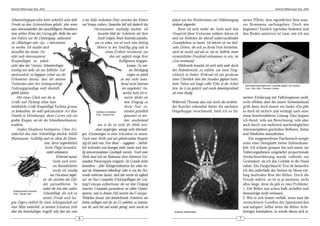 DeArGe Mitteilungen 8(2), 2003                                                                                                                                                                                DeArGe Mitteilungen 8(2), 2003



Schmetterlingsspezialist hätte sicherlich seine helle       x-ten Male verdorbene Foto) zwischen den Kiefern          jedoch von den Wächterinnen am Höhleneingang                 meine Pflicht, dem eigentlichen Sinn unse-
Freude an dem Artenreichtum gehabt; aber wenn               von Vespa crabro. Immerhin ließ sich dadurch das          drohend abgewehrt.                                           res Kommens nachzugehen. Doch wie
man interessenhalber den unauffälligeren Bewohnern                    Hornissennest ausfindig machen; ich                  Bevor ich mich wieder der Suche nach dem                beginnen? Einfach irgendwo hinknien und
einer solchen Wiese den Vorzug gibt, bleibt den mei-                     brauchte bloß der Arbeiterin mit ihrer       Hauptziel dieser Exkursion widmete, bekam ich                den Boden anstarren ist zwar, wie ich aus
sten Faltern nur die Demütigung, umfassend                               frisch erlegten Beute hinterherzulaufen,     noch ein Weibchen der überall umherraschelnden
als »Bläulinge« oder »tja...« determiniert                             um zu sehen, wie sie nach etwa fünfzig         Zauneidechsen zu fassen. Ich befreite sie von fünf-
zu werden. Ich wandte mich                                              Metern in den Sinkflug ging und in            zehn Zecken, die sich an ihrem Hals festhielten,
daraufhin den meiner An-                                                        einem Erdloch verschwand, aus         setzte sie zurück und sah zu, wie sie, heilfroh, einem
sicht nach interessanteren                                                          dem mir sogleich einige ihrer     vermeintlichen Fressfeind entkommen zu sein, im
Raupenfliegen zu, jedoch                                                                  Kolleginnen entgegen-       Gras verschwand.
nicht ohne den Vorsatz, Schmetterlingen                                                          kamen. Zu mei-            Mittlerweile brauchte ich mich nicht mehr durch
künftig mit mehr als nur höflicher Auf-                                                            ner Beruhigung     den Bodenbewuchs zu wühlen, um einen Fang-
merksamkeit zu begegnen (schon aus der                                                           zeigten sie jedoch   schlauch zu finden: Während ich mir geruhsam
Erkenntnis heraus, dass die meisten                                                         an mir nicht annä-        einen Überblick über den Standort gegönnt hatte,
Tachiniden ohne ihre farbenprächtige                                                        hernd soviel Interesse    hatte Tobias sich längst voller Eifer in die Arbeit           Zauneidechsenweibchen (Lacerta agilis) mit Zecken
Nahrungsgrundlage wohl ebenfalls                                                             wie umgekehrt. Im-       bzw. ins Gras gestürzt und wurde dementsprechend              Foto: Dipl.-Biol. Thomas Lübcke

gefehlt hätten).                                                                              merhin hatte ich er-    als erster fündig.
     Mit etwas Glück war die in                                                                wartet, direkt vor                                                                  meiner Erfahrung mit Falltürspinnen weiß,
Größe und Färbung schon hum-                                                                   dem Eingang zu         Während Thomas also nur noch als wedeln-                     recht effektiv, aber der innere Schweinehund
melähnliche Große Raupenfliege Tachina grossa                                                  ihrem Nest zu-         der Kescher erkennbar hinter der nächsten                    grölt dann doch immer ein faules »Da gibt
zu beobachten, die wohl spektakulärste Art ihrer                        Carabus coriaceus      mindest gründlich      Hügelkuppe verschwand, hielt ich es für                      es doch eh nichts!« und verlangt nach einer
Familie in Mitteleuropa, deren Larven sich von                          Foto: Tobias Dörr
                                                                                               gemustert zu wer-                                                                   etwas komfortableren Lösung. Also begann
großen Raupen, wie der des Schwalbenschwanzes,                                                 den; anscheinend                                                                    ich damit, teils aus Berechnung, teils aber
ernähren.                                                                war es für sie nicht die Mühe wert,                                                                       auch durch von mehreren arachnologischen
     Anders Alophora hemiptera: Diese Art,                             einen neugierigen, solange nicht übermüti-                                                                  Interessenjahren geschulten Reflexen, Steine
äußerlich eher einer Schwebfliege ähnlich, befällt          gen, Entomologen in seine Schranken zu weisen.                                                                         und Ähnliches umzudrehen.
Blattwanzen. Auffällig sind vor allem die Männ-             Nach einer Weile und mit gebührendem Respekt                                                                               Ein weggeworfenes Taschentuch erregte
                          chen, deren ungewöhnlich          zog ich mich vom Nest dieser – zugegeben – bedroh-                                                                     unter einer Steinplatte meine Aufmerksam-
                           breite Flügel bräunlich-         lich wirkenden und deswegen leider immer noch häu-                                                                     keit. Ich schaute genauer hin und meine zur
                            violett schimmern.              fig missverstandenen Geschöpfe zurück. Nach einer                                                                      Näherungsdistanz umgekehrt proportionale
                                     Während meiner         Weile fand sich ein Bodennest ihrer kleineren Ver-                                                                     Verdachtserhärtung wurde vollends zur
                                  Suche nach weite-         wandten, Paravespula vulgaris. Im Grunde nichts                                                                        Gewissheit, als ich das Gebilde in die Hand
                                  ren Besonderheiten        besonderes – jeder Kleingartenbesitzer hat schon ein-                                                                  nahm: Ein Fangschlauch! Erst da bemerkte
                                  wurde ich ständig         mal ein Wespennest beherbergt (oder es von der Feu-                                                                    ich den außerhalb des Steines im Moos ent-
                               von Hornissen beglei-        erwehr entfernen lassen), doch hier wurde ich sogleich                                                                 lang laufenden Rest der Röhre. Doch die
                         tet, die zwischen den Dol-         auf ein Paar Conopiden (Dickkopffliegen) der Gat-                                                                      Freude währte, so ist es ja meistens, nicht
                         den patrouillierten. So            tung Conops aufmerksam, die vor dem Eingang                                                                            allzu lange, denn da gab es zwei Probleme:
                         endete die eine oder andere        lauerten. Conopiden parasitieren vor allem Hymen-                                                                      1. Die Röhre war schon halb zerfallen und
  Graphosoma hirsutum
  Foto: Tobias Dörr      Schwebfliege, die sich zu          opteren, und in diesem Fall wartete das Conops-                                                                        demzufolge wohl verlassen.
                         meiner Freude nach lan-            Weibchen darauf, eine heimkehrende Arbeiterin von                                                                      2. Wie es sich immer verhält, wenn man die
gem Zögern endlich für einen Schnappschuß auf               hinten anfliegen und ihr ein Ei anheften zu können,                                                                    versteckteren Gesellen des Spinnenreiches
einer Blüte niederließ, zu meinem Entsetzen (teils          was ihr auch hin und wieder gelang; meist wurde sie                                                                    mal aufspürt: Selbst wenn die Röhre Acht-
über den hinterhältigen Angriff, teils über das zum                                                                    Araneus diadematus                                          beiniges beinhaltete, so würde dieses sich si-
                                                        6                                                                                                                      7
 