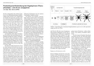 DeArGe Mitteilungen 8(3), 2003                                                                                                                                                 DeArGe Mitteilungen 8(3), 2003




Postembryonal-Entwicklung bei Vogelspinnen (Thera-                                                   Embryo-
phosidae) – vom Ei zur Jungspinne                                                                    nalperio-      Larvalperiode                             Nymphoimaginalperiode
                                                                                                       de
von Dipl. Biol. Boris Striffler
                                                                                                       Ei        Prälarve   Larve   Nymphe I NII            ......     Nymphe             Imago
                                                                                                                                                                     (Subadultus)       (= Adultus)
Bei den orthognathen oder niederen Spin-             bekannten Ergebnissen aus den anderen
nen ist die Individualentwicklung verhältnis-        Unterfamilien verglichen werden.
mäßig wenig erforscht. Den Angehörigen                   Da Spinnen, wie Insekten, Tausend-
der Familie Theraphosidae und deren frü-             füßer, Krebse und alle anderen Arthropoden
hen Entwicklung haben sich lediglich ŠIM-            (Gliederfüßer) über ein starres und festes
KEVIC (= S CHIMKEWITSCH ) (Š IMKEVIC &               Exoskelett (Außenskelett) verfügen, ist nur
ŠIMKEVIC 1911) im ersten Jahrzehnt des 20.           ein bedingtes Körperwachstum möglich.
Jahrhundert bzw. BÜCHERL , H OLM und                 Lediglich das weichhäutige Opisthosoma
K ÄSTNER in den 50er Jahren (BÜCHERL                 kann sich stark ausdehnen, wie z. B. bei               Im Kokon           Schlupf                    Freilebend, außerhalb des Kokons
1951; H OLM 1954; K ÄSTNER 1952) gewid-              Theraphosa blondii bis zu der Größe eines
met. Eine Zusammenfassung und ein Ver-               Tennisballs. Der Vorderkörper und die Ex-       Tabelle 1: Entwicklung bei Grammostola iheringi (kombiniert nach VACHON 1957 und Zeich-
gleich dieser Arbeiten finden sich bei VA -          tremitäten sind von einer harten Exocuticula    nungen aus BÜCHERL 1951).
CHON (VACHON 1958), allerdings nur in fran-          umschlossen und können sich nicht ausdeh-
zösischer Sprache und in einem nicht für             nen. Aus diesem Grunde ist jedes Wachstum       tafel Abb. 8). Mit dem ersten Nymphensta-           gelegt: inneres (Entoderm)-, äußeres (Ekto-
jedermann zugänglichen Journal.                      bei Spinnen an eine Häutung gebunden. Die       dium sind alle Vogelspinnen, bis auf die Ge-        derm)- und mittleres Keimblatt (Meso-
     Im Folgenden sollen daher die bisheri-          einzelnen Abschnitte zwischen den Häutun-       schlechtsorgane, vollkommen ausgebildet             derm).
gen Kenntnisse über postembryonale Ent-              gen werden als Stadien bezeichnet.              und haben den Kokon verlassen. Die Nym-                 Aus dem inneren Keimblatt (Entoderm)
wicklung innerhalb der Familie Theraphosi-               Insgesamt lässt sich die Entwicklung bei    phen sehen dann, abgesehen von Juvenilfär-          entwickeln sich die, den Hinterleib ausfül-
dae, also der echten Vogelspinnen, zusam-            Spinnen nach VACHON 1957 in drei Peri-          bungen und Größe, wie Miniaturausgaben              lenden, Mitteldarmdrüsen und Malpighi-
mengefasst und illustriert werden. Informa-          oden unterteilen: Embryonalperiode - Lar-       der erwachsenen Spinnen aus und ernähren            schen Gefäße. Nervensystem und Sinnesor-
tionen zur Paarung, Eiablage und zur weite-          valperiode - Nymphoimaginalperiode.             sich selbstständig. Nach einer von Art zu           gane, sowie auch die Atemorgane, Gift- und
ren Entwicklung sowie Aufzucht von Vogel-                Dies soll anhand der in Tabelle 1 gezeig-   Art verschiedenen Anzahl von Häutungen              Spinndrüsen, Vorder- und Enddarm gehen
spinnen finden sich bei STRIFFLER 2002 oder          ten Zeichnungen von Grammostola iheringi        als Nymphe und einer zunehmenden Diffe-             aus dem äußeren Keimblatt (Ektoderm) her-
VON WIRTH 1996.                                      und einer kurzen Zusammenfassung ver-           renzierung der Geschlechtsorgane, werden            vor. Das mittlere Keimblatt (Mesoderm)
     Die Basis der bisher bearbeiteten Arten         deutlicht werden. Nach der Eiablage diffe-      mit der Imaginalhäutung die Geschlechtsor-          schließlich bildet die Anlagen für Muskula-
ist relativ gering und besteht aus nur drei          renziert sich unter dem Chorion (= Eihülle)     gane voll ausgebildet und die Spinne wird           tur, Gefäßsystem, Coxaldrüsen und Ge-
bestimmten Arten aus den Unterfamilien               der Spinnenembryo zur Prälarve, die dann        als Adultus oder Imago bezeichnet.                  schlechtsapparate aus (FOELIX 1992).
Theraphosinae (Grammostola iheringi bei              aus dem Chorion schlüpft. Nach einer Häu-                                                               Unter der Eihülle, dem Chorion, beginnt
BÜCHERL 1951, Grammostola sp. bei VACHON             tung und weiterer Entwicklung ist die Larve     EMBRYONAL-ENTWICKLUNG IM EI                         sich das Ei zur Prälarve zu differenzieren
1958) und Ischnocolinae (Ischnocolus sp. bei         das letzte Stadium, welches sich bei allen                                                          und so sind nach ca. 10 Tagen schon die
Š IMKEVIC & Š IMKEVIC 1911), sowie einer             Vogelspinnen im Kokon befindet. Bei eini-       Bei der Eiablage sind die Eier noch unbe-           Anlagen für die Organe, das Prosoma mit
weiteren unbestimmten Art bei K ÄSTNER               gen Arten, z. B. bei Poecilotheria (Farbtafel   fruchtet, da die Verschmelzung von Ei-Kern          Extremitäten-Anlagen und ein primitives
1952. Im vorliegendem Bericht sollen einige          Abb. 7), öffnet die Mutter den Kokon            und Spermienkern, also die eigentliche Be-          Opisthosoma gebildet. Innerhalb von weite-
Informationen zu asiatischen Arten aus den           schon, wenn der Nachwuchs sich noch im          fruchtung, erst drei bis vier Stunden später        ren 9 Tagen gliedern sich die Extremitäten
Unterfamilien Ornithoctoninae (Haplopelma            Larvenstadium befindet. Andere Arten, z. B.     stattfindet (MONTGOMERY 1908). Kurz da-             und die Organe bilden sich vollständig aus
lividum) und Selenocosmiinae (Chilobrachys           Avicularia, verlassen den Kokon erst nach       nach beginnt bereits die Differenzierung des        (Farbtafel Abb. 9). Nach ca. 20 Tagen
andersoni) gegeben werden und diese mit den          einer weiteren Häutung als Nymphen (Farb-       Eies. Zuerst werden die drei Keimblätter an-        schlüpfen dann die Prälarven aus dem Cho-
                                                16                                                                                                  17
 