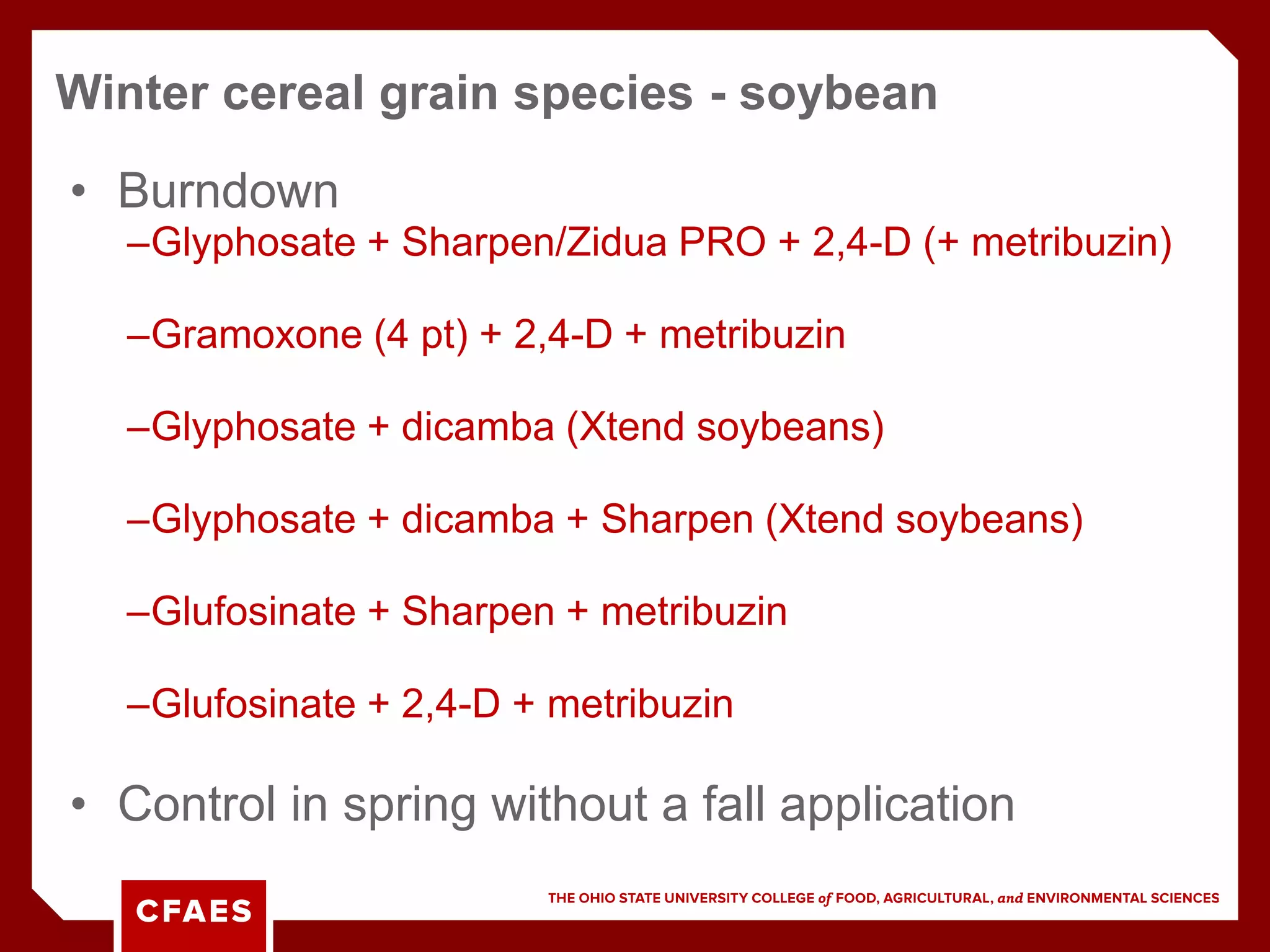 • Burndown
–Glyphosate + Sharpen/Zidua PRO + 2,4-D (+ metribuzin)
–Gramoxone (4 pt) + 2,4-D + metribuzin
–Glyphosate + dicamba (Xtend soybeans)
–Glyphosate + dicamba + Sharpen (Xtend soybeans)
–Glufosinate + Sharpen + metribuzin
–Glufosinate + 2,4-D + metribuzin
• Control in spring without a fall application
Winter cereal grain species - soybean
 