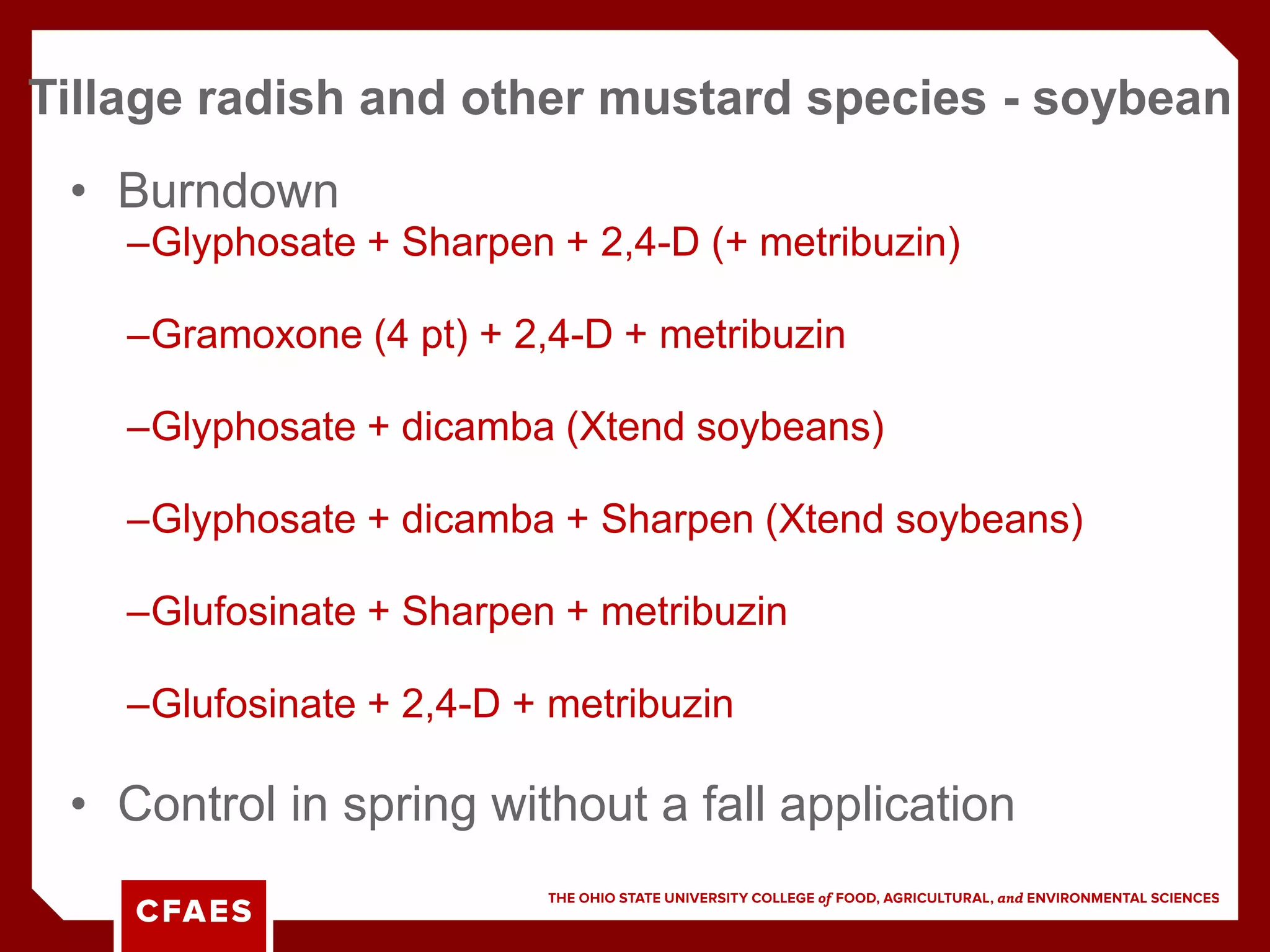 • Burndown
–Glyphosate + Sharpen + 2,4-D (+ metribuzin)
–Gramoxone (4 pt) + 2,4-D + metribuzin
–Glyphosate + dicamba (Xtend soybeans)
–Glyphosate + dicamba + Sharpen (Xtend soybeans)
–Glufosinate + Sharpen + metribuzin
–Glufosinate + 2,4-D + metribuzin
• Control in spring without a fall application
Tillage radish and other mustard species - soybean
 