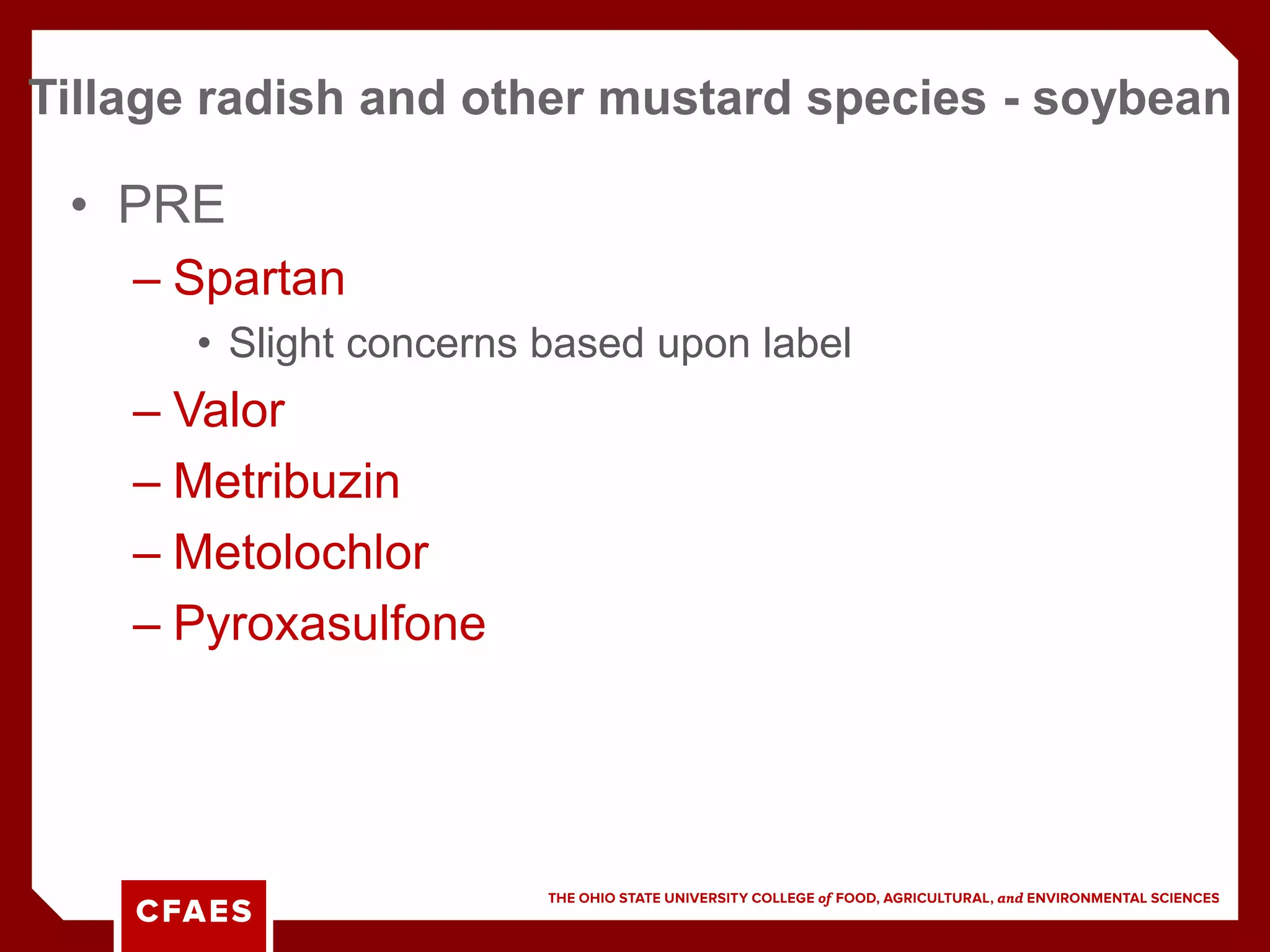 • PRE
– Spartan
• Slight concerns based upon label
– Valor
– Metribuzin
– Metolochlor
– Pyroxasulfone
Tillage radish and other mustard species - soybean
 