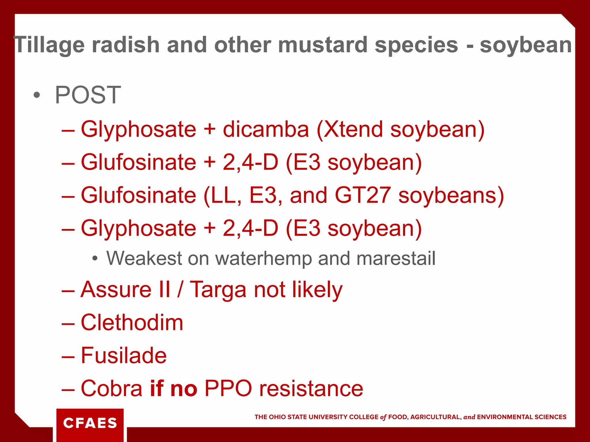 • POST
– Glyphosate + dicamba (Xtend soybean)
– Glufosinate + 2,4-D (E3 soybean)
– Glufosinate (LL, E3, and GT27 soybeans)
– Glyphosate + 2,4-D (E3 soybean)
• Weakest on waterhemp and marestail
– Assure II / Targa not likely
– Clethodim
– Fusilade
– Cobra if no PPO resistance
Tillage radish and other mustard species - soybean
 