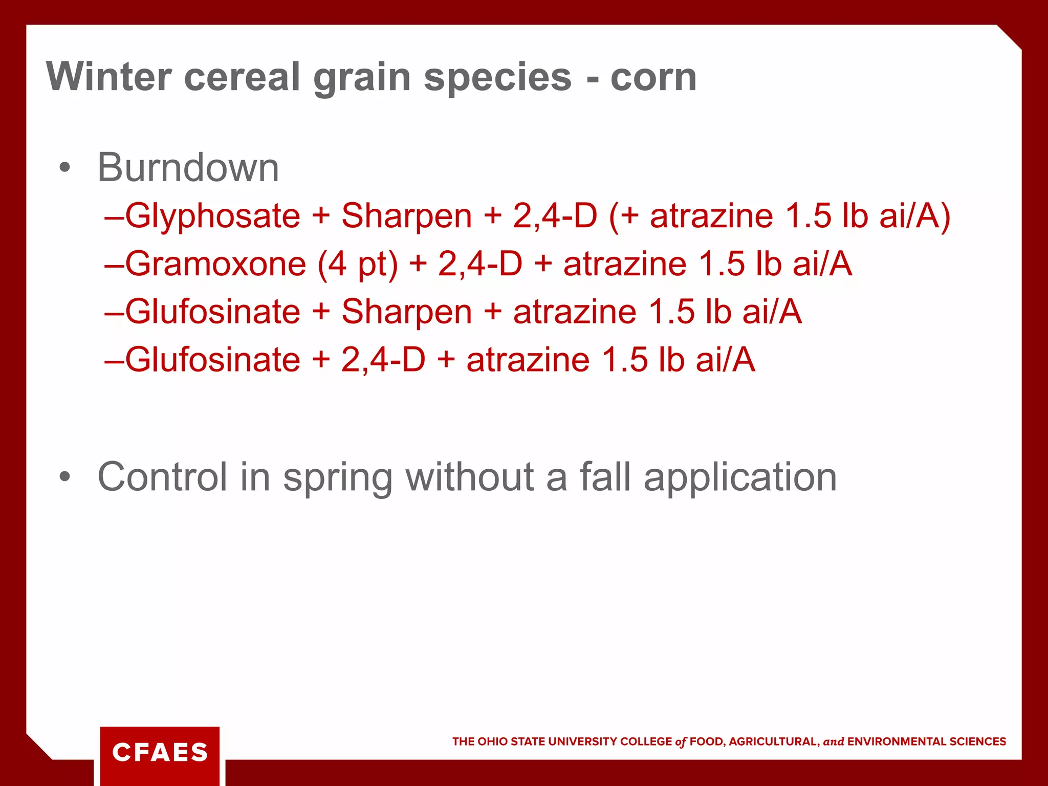 • Burndown
–Glyphosate + Sharpen + 2,4-D (+ atrazine 1.5 lb ai/A)
–Gramoxone (4 pt) + 2,4-D + atrazine 1.5 lb ai/A
–Glufosinate + Sharpen + atrazine 1.5 lb ai/A
–Glufosinate + 2,4-D + atrazine 1.5 lb ai/A
• Control in spring without a fall application
Winter cereal grain species - corn
 