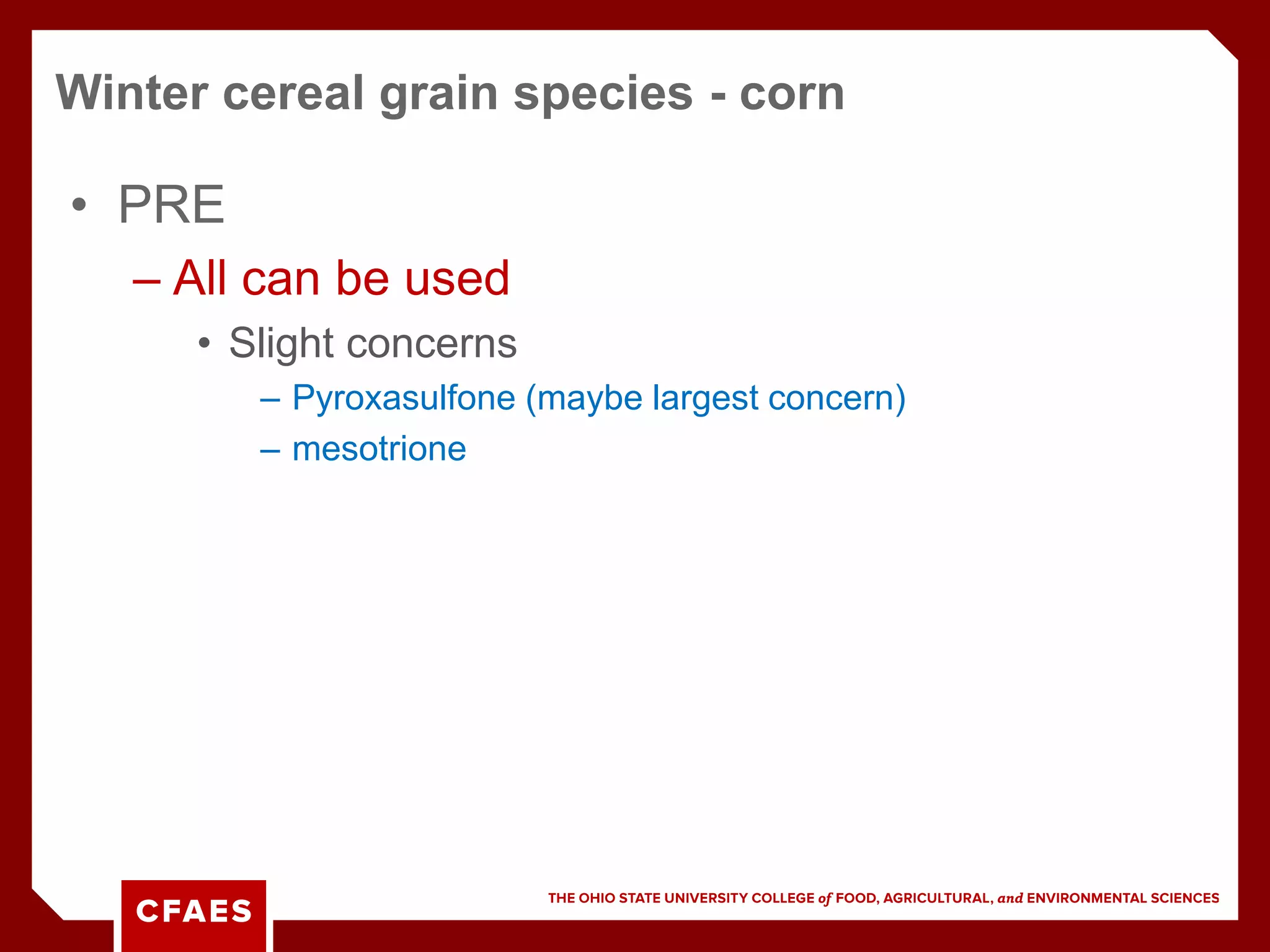 • PRE
– All can be used
• Slight concerns
– Pyroxasulfone (maybe largest concern)
– mesotrione
Winter cereal grain species - corn
 