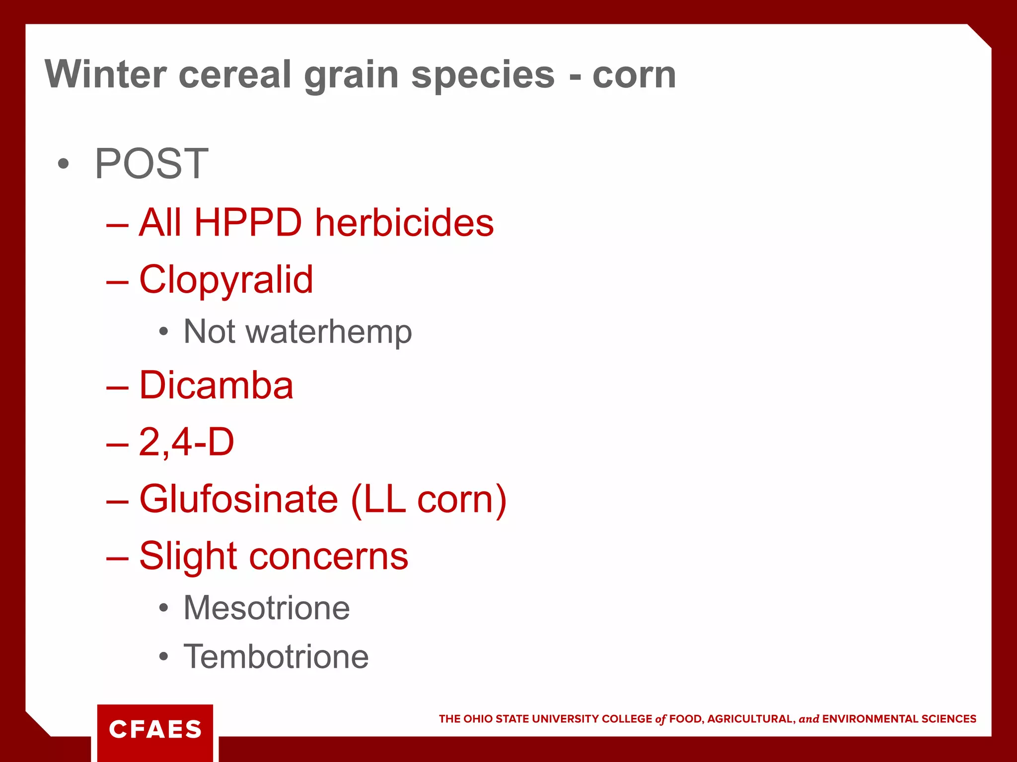 • POST
– All HPPD herbicides
– Clopyralid
• Not waterhemp
– Dicamba
– 2,4-D
– Glufosinate (LL corn)
– Slight concerns
• Mesotrione
• Tembotrione
Winter cereal grain species - corn
 