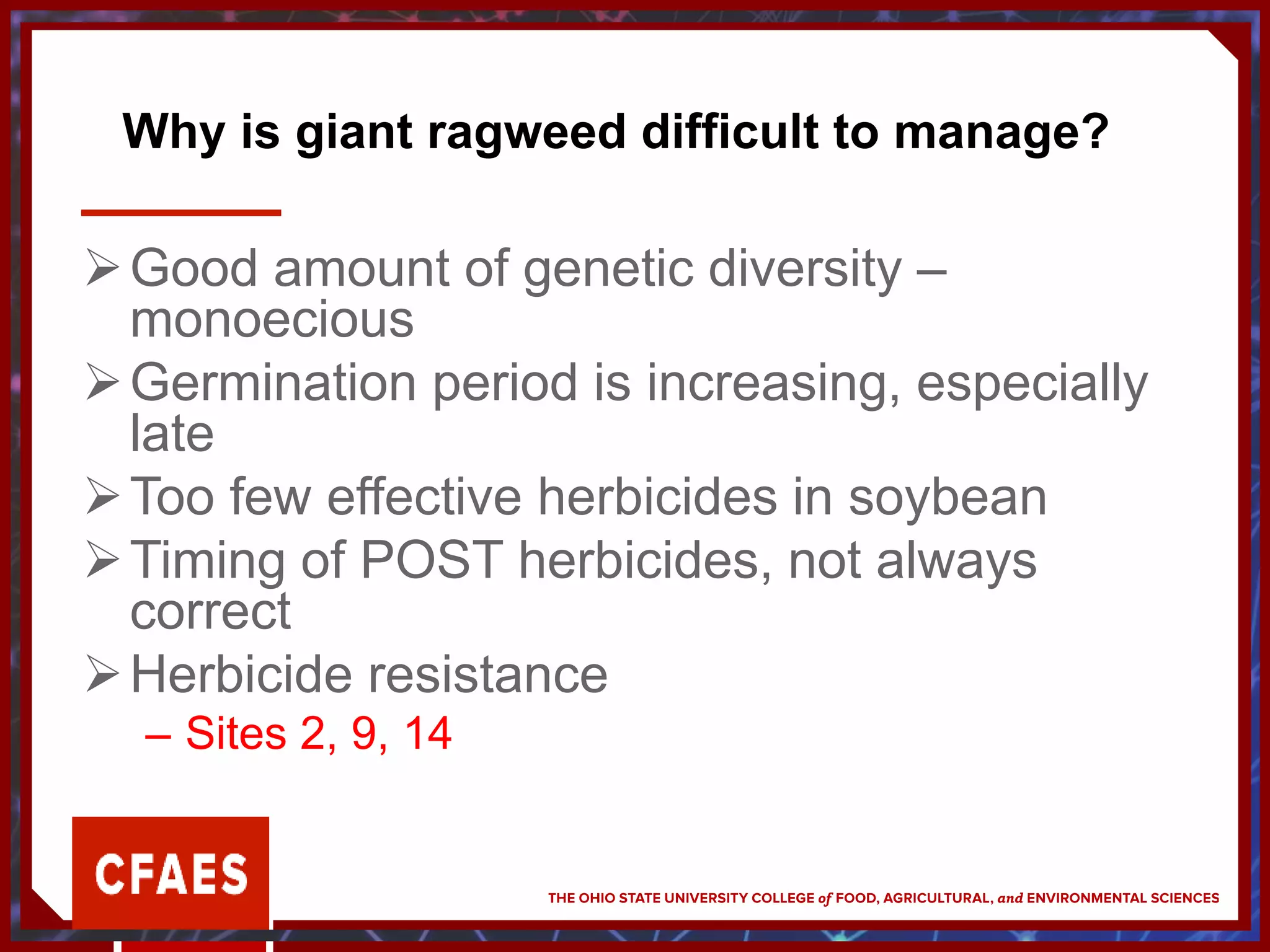 Why is giant ragweed difficult to manage?
Good amount of genetic diversity –
monoecious
Germination period is increasing, especially
late
Too few effective herbicides in soybean
Timing of POST herbicides, not always
correct
Herbicide resistance
– Sites 2, 9, 14
 