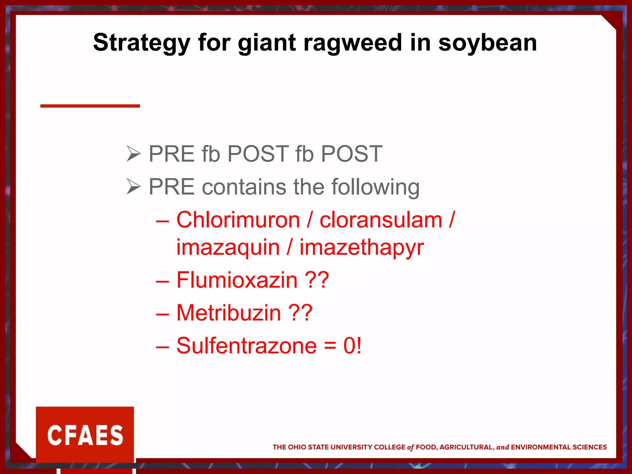 Strategy for giant ragweed in soybean
 PRE fb POST fb POST
 PRE contains the following
– Chlorimuron / cloransulam /
imazaquin / imazethapyr
– Flumioxazin ??
– Metribuzin ??
– Sulfentrazone = 0!
 